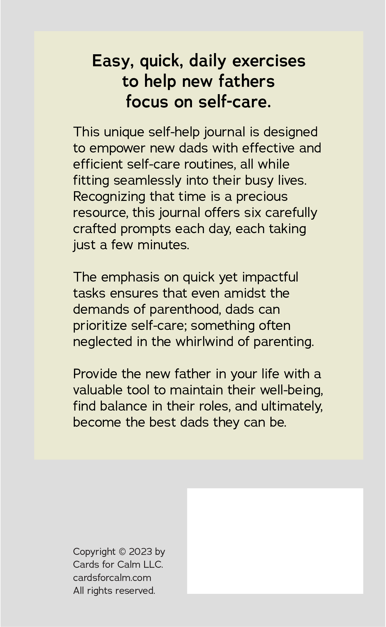 Daily Self-Care For Dads: Easy, quick exercises that empower new fathers to balance parenting with self-care.